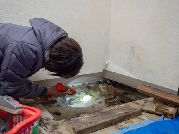 Best Commercial Mold Inspection  in Oxon Hill, MD