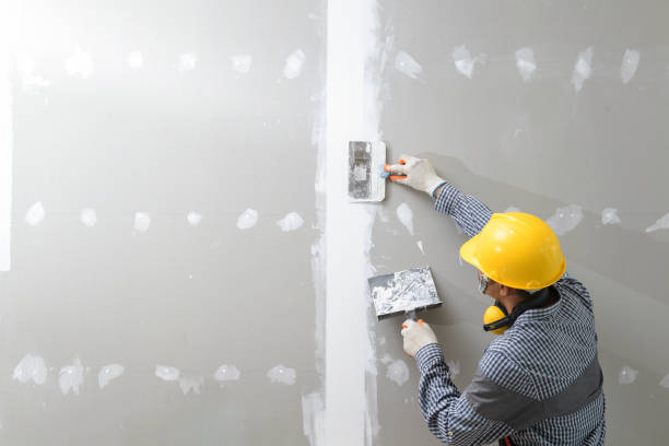 Professional Mold Removal in Oxon Hill, MD