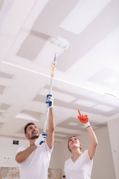Best Attic Mold Removal  in Oxon Hill, MD