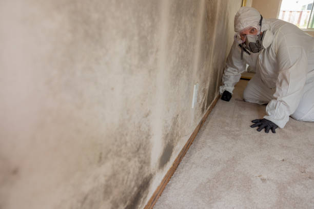Best Mold Remediation for Healthcare Facilities  in Oxon Hill, MD